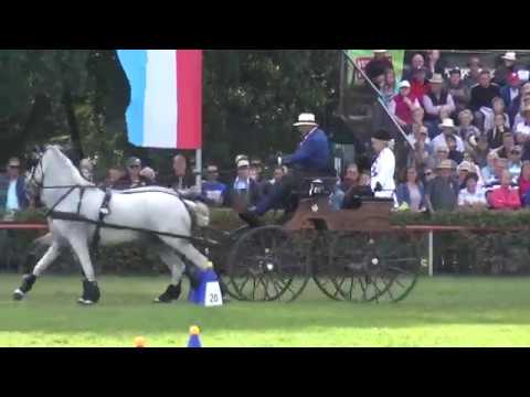 Kálmán BABÓ (ROU) FEI CH-M-AH2, Drebkau (Germany), cones, 15.09.2019