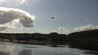 preview picture of video 'Eagle and Cod Fishing in Norway'