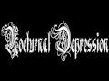 Nocturnal Depression - Anthem to Self-Destruction ...