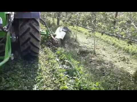 Trincia interfilare: Herbivora