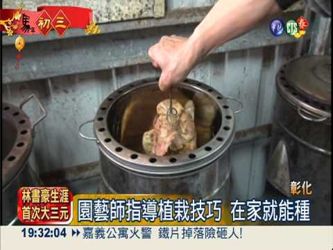 拜訪茉莉花故鄉 好看又好吃!