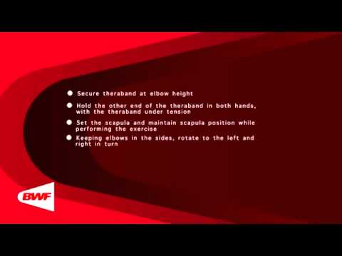 CE2M8V63 Theraband Exercises   Trunk Rotation 1