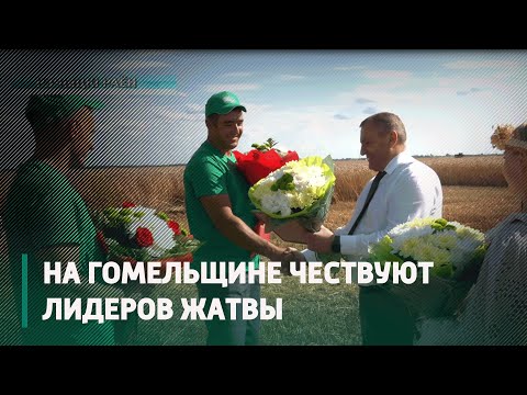 На Гомельщине чествовали лидеров жатвы видео