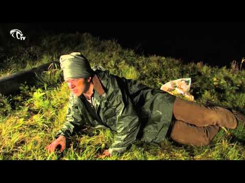 KobraTV - Naujųjų metų išvakarėse būk su KobraTV!