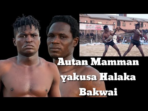 Autan Mamman ya jikkata Bakwai a Damben Kano yau Talata 18/11/2025