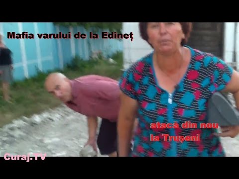 Mafia varului de la Edineț atacă din nou la Trușeni - Curaj.TV