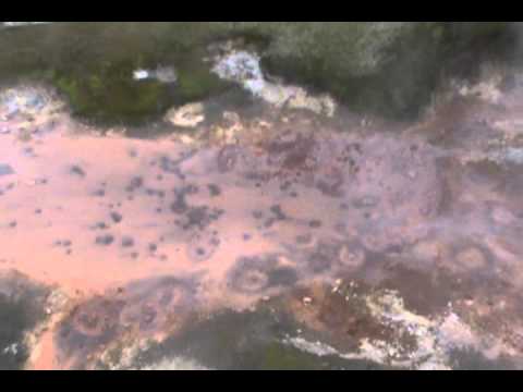 Geothermal Pools and Bubbling Mud in Iceland