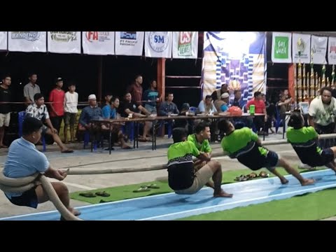 Tarik tambang singo Karyo cup Joko sawo vs Keong racun #viral #tariktambanggresik #tariktambang