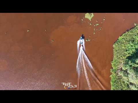 download lagu mp3 mp4 Delta Del Orinoco, download lagu Delta Del Orinoco gratis, unduh video klip Delta Del Orinoco