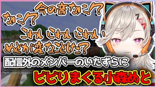 配信外でやってきたとあるメンバーのいたずらにビビりまくる小森めと【切り抜き/小森めと】