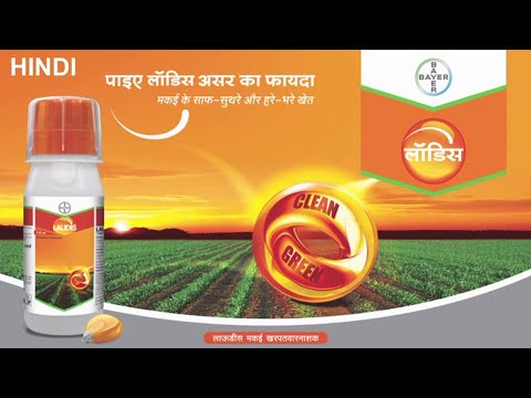 Bayer Herbicide
