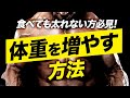 【太りたい方必見】体重を増やす方法とサプリメント活用法【ビーレジェンド プロテイン】