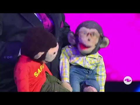 Tato llega en compañía de su abuelo Tomás y hablan sobre sus empleos