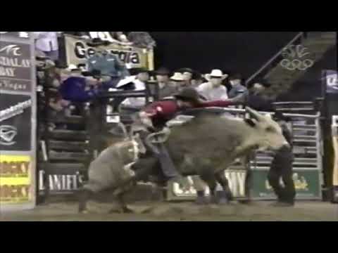 Blueberry Wine bucks Greg Potter - 05 PBR CO Springs