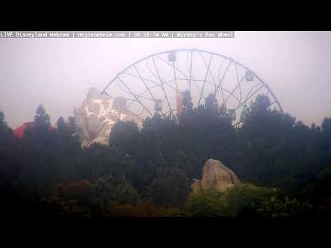 Live webcam of Disneyland Cam