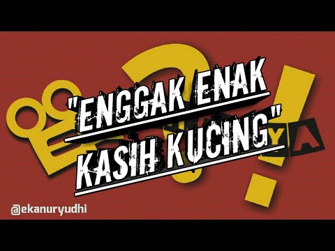 kenapa-harus-kucing-ekatanya