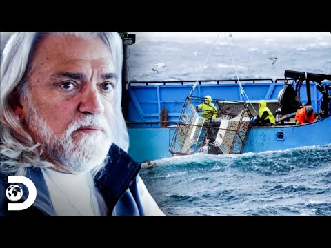 🔴 ¡Lo Mejor de Pesca Mortal! 🐟🌊 Los Momentos Más Épicos en Alta Mar 🚤⚡