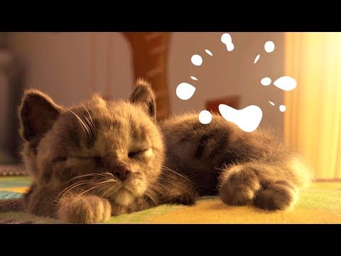 Gatos Preescolar Aventuras - Dibujos Animados Infantiles | Capítulo 4