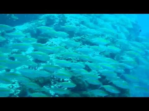 Sailrock - Kho Phangan - Thailand., Sail Rock,Koh Tao - Koh Samui,Thailand