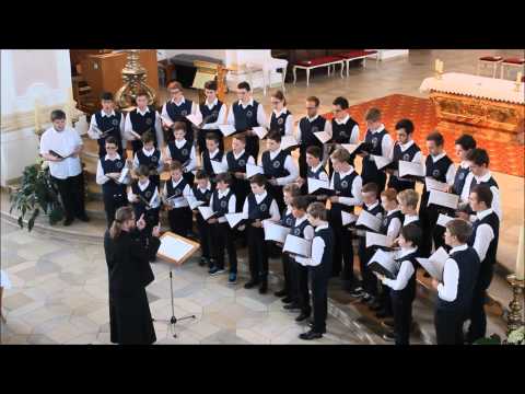 Psalm 23 - Stewart (Pueri Cantores Altahensis)