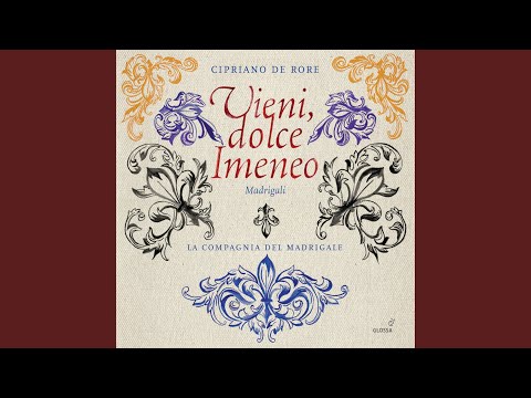 Chansons à 4 et 5 parties: No. 24, Vieni dolce Imeneo
