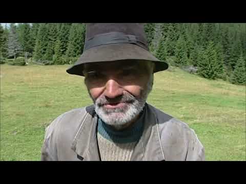 Peremvidék. Gyimesi csángók Háromkúton