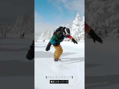 長野県『 竜王スキーパーク』 “スカイランドエリア”