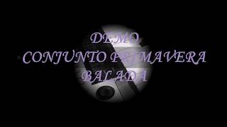 Conjunto Primavera