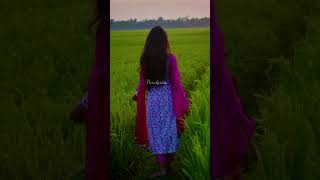 Download lagu jab se mile ho tum #alkayagnik #uditnarayan #statusvideo mp3 Download lagu jab se mile ho tum #alkayagnik #uditnarayan #statusvideo mp3