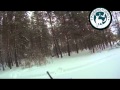 Охота на кабана в зимний период (видео) 