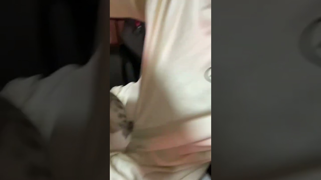 happy new year 2023‼︎新年1発目のふうくんです