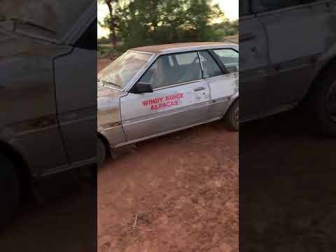 Thumbnail for 1981 Toyota T18 first start in years by Toyota