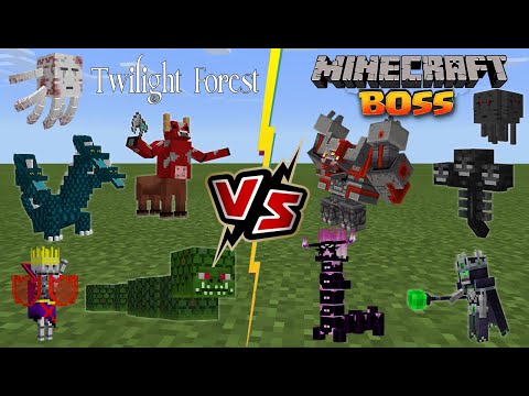 EPIC Minecraft Boss Battle! Twilight Forest Vs CoolFire Gaming!