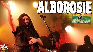 Alborosie - Rocky Road | No Cocaine @ Reggae Jam 2016