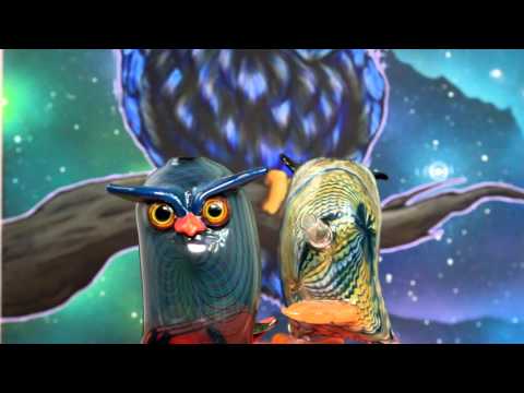 Shackman Glass - Space Parliament