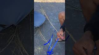 Download lagu Pegon ceper #shortvideo #layangan #pegon #fouryoupage #blimangkapsul mp3