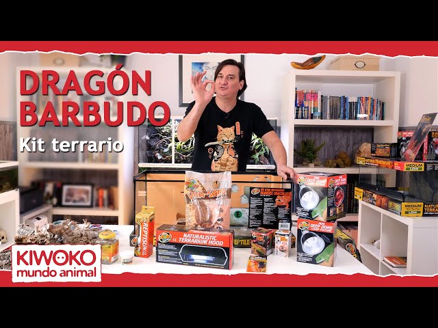 Vídeo relacionado con Zappi Co Peluche de Dragón Barbudo 100% Reciclado (34cm de Largo) Colección de Animales de Felpa Suaves, acogedores y ecológicos para el Primer niño recién Nacido