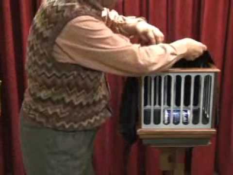 DOVE TO RABBIT - DAYTONA MAGIC