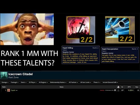 Rank 1 MM Hunter Parse || Festergut 25M HC