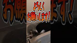 【生産確定しました！】もう少しで、夢叶うんです……！【ヨシダノ卓】 #1d100 #trpg
