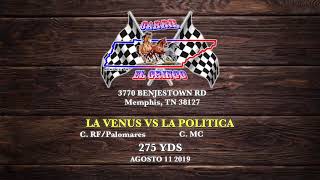 La Venus vs La Politica | Carril El Gringo