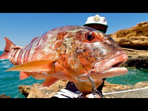 Remote Island Exploring to find Monster Fish