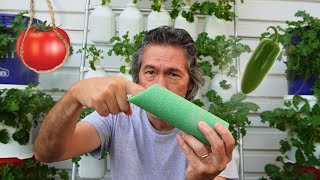 How to Support Tomatoes in Hydroponic Tower Garden and Problem with the Pool Noodle DIY Hydroponics