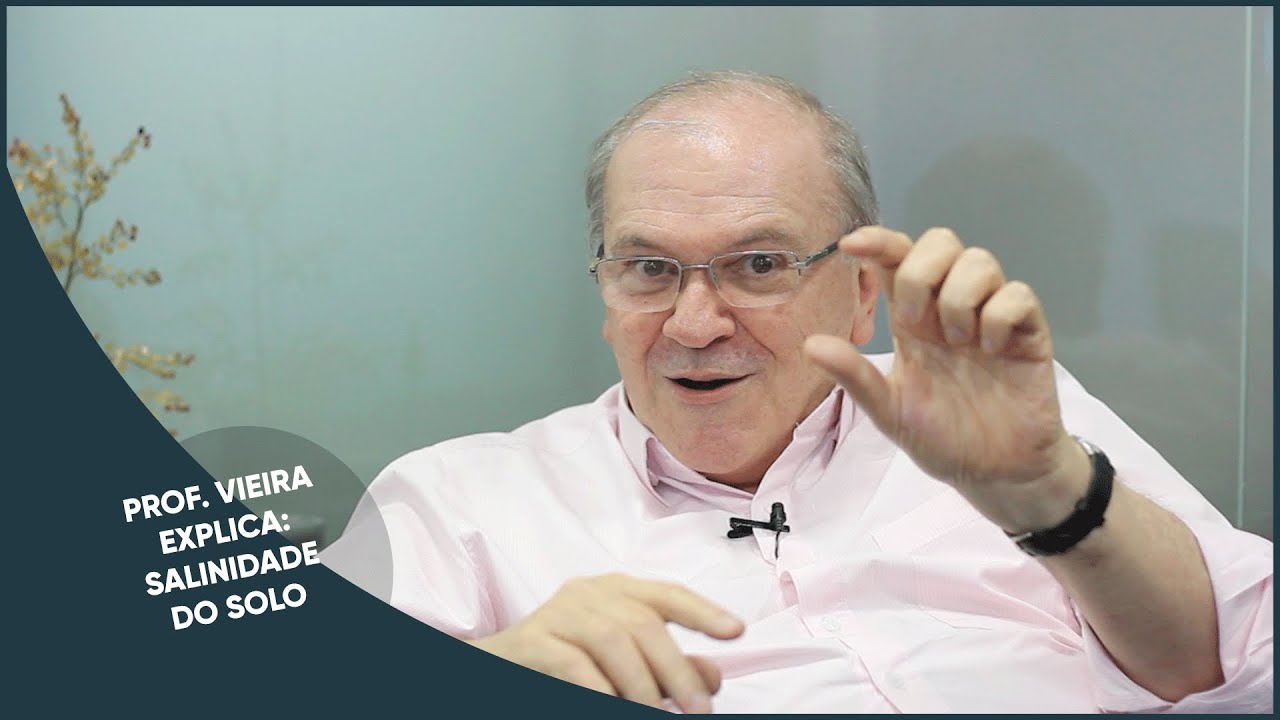 Prof. Vieira explica: Salinidade do solo