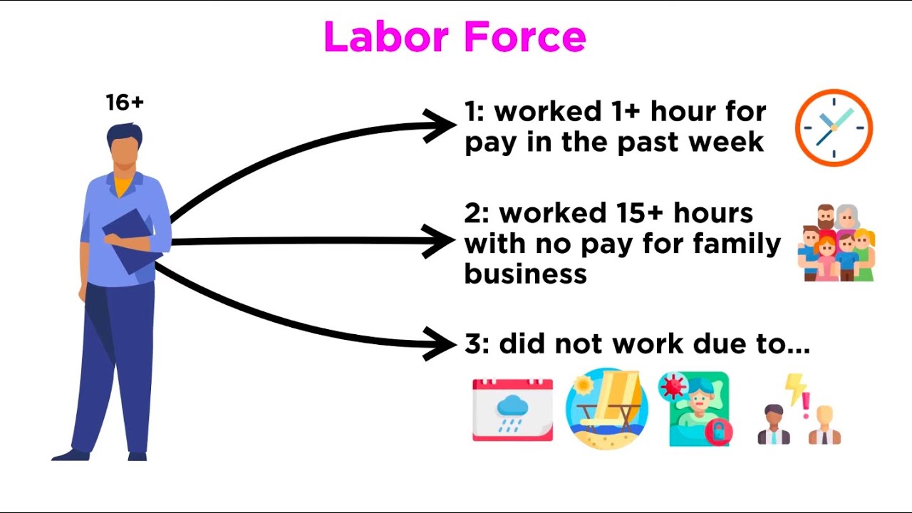 The Labor Force