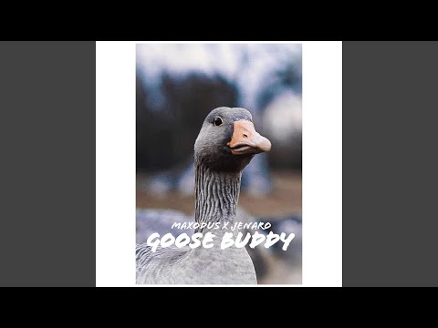 Goose Buddy
