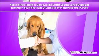 Veterinarian