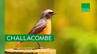 Download lagu Challacombe Farm – A Living Landscape mp3