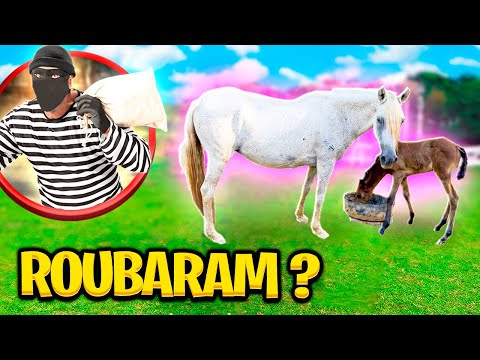 My HORSES ARE GONE 😭