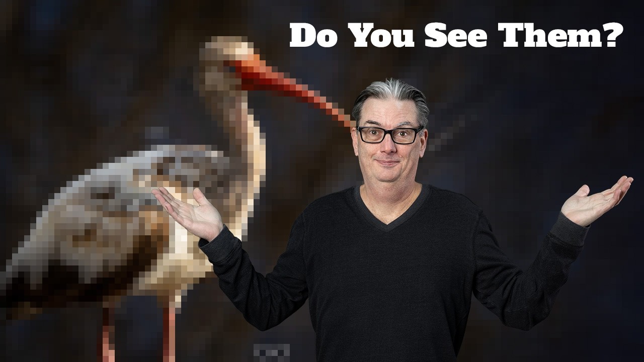 Can you see the three mistakes I made in this photo?